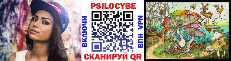 как найти   Опочка  Галлюциногенные грибы Cubensis 